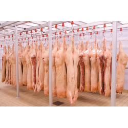 Réseau de rails  à viande pour chambre froide